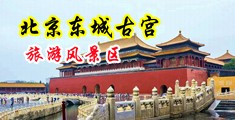 欧美性情趣性爱免费中国北京-东城古宫旅游风景区